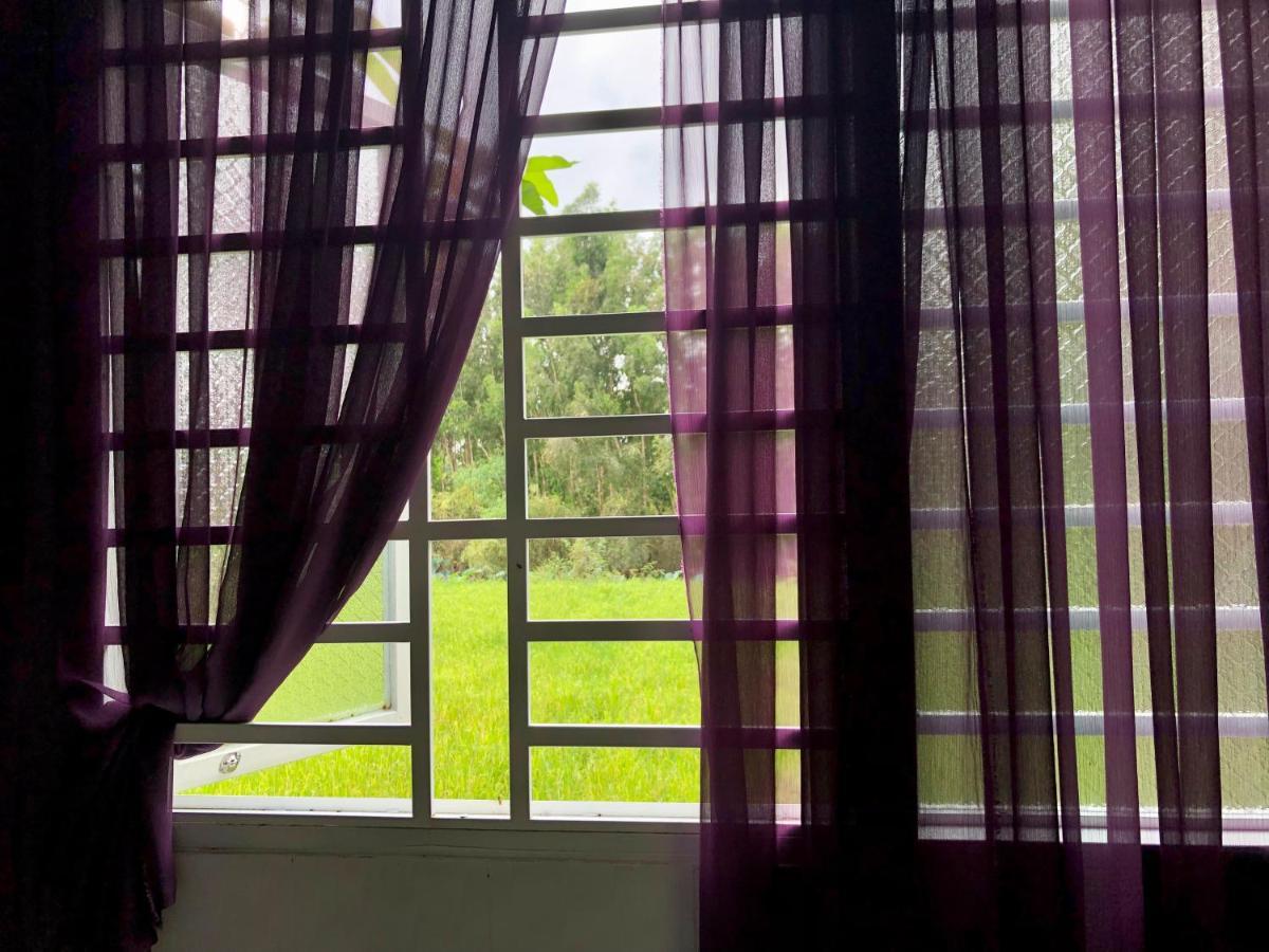 Huong Tram Homestay Ho Da Exterior photo